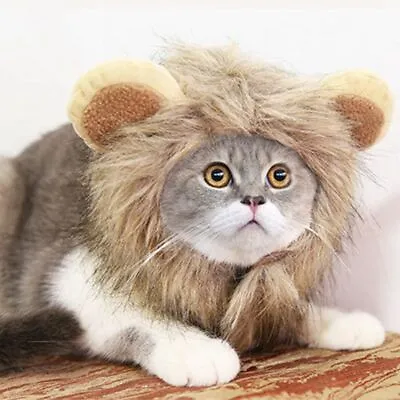 £6.47 • Buy Furry Pet Hat Costume Lion Mane Wig For Cat Dress Up With Ears Party