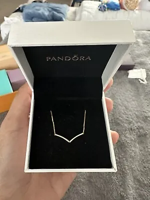 Pandora Necklace • $40