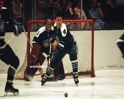 NHL 1969 Oakland Seals Game Action Color Picture 8 X 10 Photo Picture • $5.99