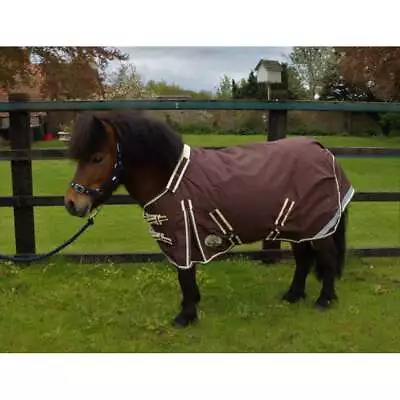 Ruggles Shetland-Miniature-Donkey-Section A 100g V2 Turnout Rug - Teflon Coated • £62