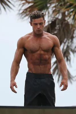 Zac Efron Shirtless Hot 8x10 Picture Celebrity Print • $3.98