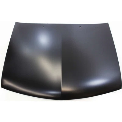 $485.80 • Buy 12479949 GM1230176C Hood For Chevy Olds S10 Pickup Chevrolet S-10 Blazer Bravada