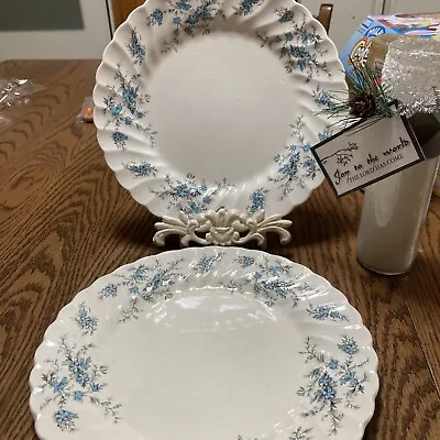 VINTAGE 2 Dinner Plates Myott Staffordshire Forget Me Not 10  Made In England • $25.75