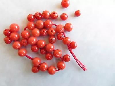 30 All Natural Red Mediterranean  3.5 To 4mm Smooth Coral Round Beads  - Quality • $29.99