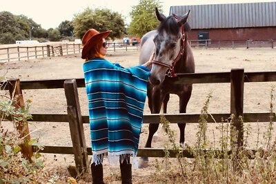 £45 • Buy Blue Serape Isla Mexican Blanket Southwestern Blanket