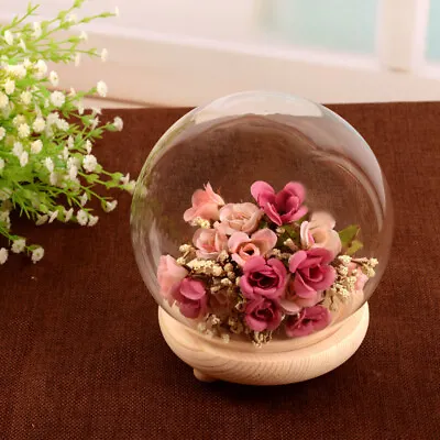 £9.95 • Buy LED Illuminated Glass Dome Bell Jar Cloche Cover Flower Doll Display Wooden Base