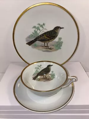 Raynaud Limoges Bird Tea Cup Saucer Plate Set Gold Rim Vtg GUC Nature France • £27.55