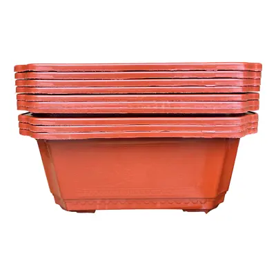 33cm Classic Design Plastic Orange Bonsai Pot With Artwork • $11.95