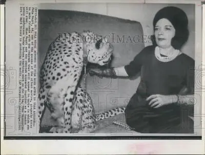 1963 Press Photo Actress Pola Negri And A Cheetah - RSJ14223 • $15.99