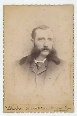 Antique C1880s Cabinet Card Handsome Man With Huge Mutton Chops Pittsfield MA • $16.99