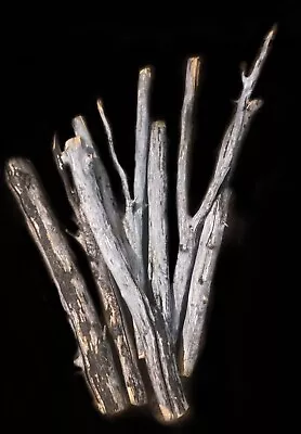 Aquarium Manzanita Driftwood - 6 Random Pieces 9  - 13  Fish Bird Reptile • $15.99