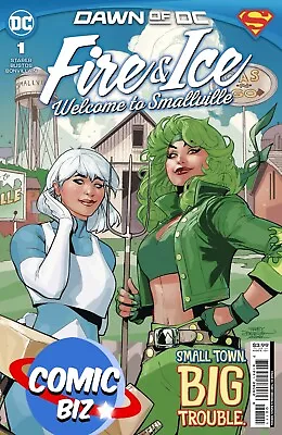 £4.10 • Buy Fire & Ice Welcome To Smallville #1 (2023) 1st Printing Main Dodson Cover A