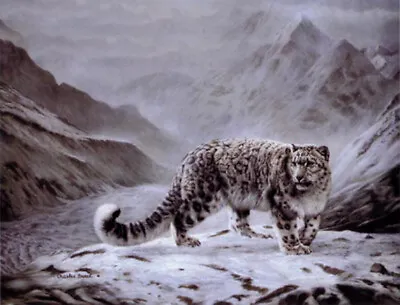 Fleeting Encounter By Charles Frace Snow Leopard Cat Wildlife Paper Art Print  • $34.99