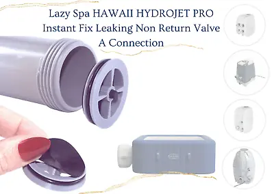 Lazy Spa Compatible Clip On Non-Return Valve For The A Connection. • £13