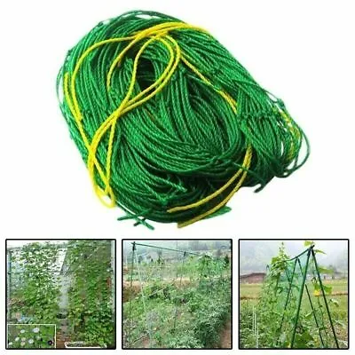 £4.97 • Buy Plant Support Mesh Garden Netting Vegetable Fruit Climbing Net Pea`Bean Trellis