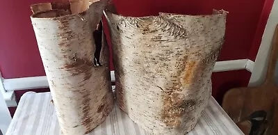 Vintage Maryland Two Large White Birch Bark Wood Pieces Making Baskets Or Crafts • $40