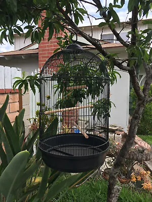 $54.82 • Buy HOOK ROUND DOME BIRD FLIGHT CAGE For Cockatiel Lovebird Finch Canary Aviaries  