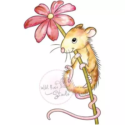 New Wild Rose Studio Clear Cling Rubber Stamp MOUSE ON FLOWER Free USA Ship • $9.99