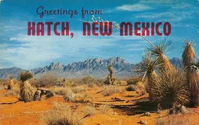 HATCH NEW MEXICO Large Letter Organ Mtns Las Cruces C1950s Vintage Postcard • $9.59