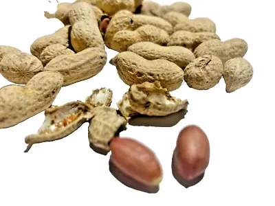 Raw IN-Shell Unsalted OR Salted Whole Peanuts 1 Kg فستق الفول السوداني • £15.98