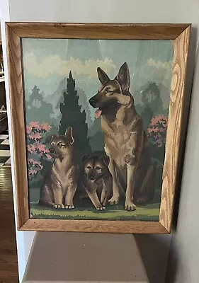 Vintage Framed German Shepherd Family Puppies Flowers Paint By Number 22 X18  • $35