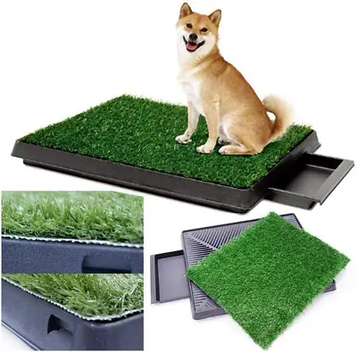 £29.99 • Buy Large Dog Toilet Mat Indoor Potty Puppy Training Grass Litter Tray Pad Restroom