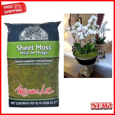 325 Sq In Bag Of Sheet Moss Soil Cover Decorative For Interior Houseplants • $9.76