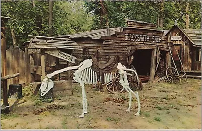 1960s Postcard OH Sandusky Ohio Ghost Town On Railroad Line Cedar Point 5081.4 • $3.25