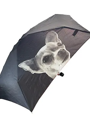 Fuzzy Nation Umbrella Black With Chihuahua Puppy Dog Pic (Read) • $14.40