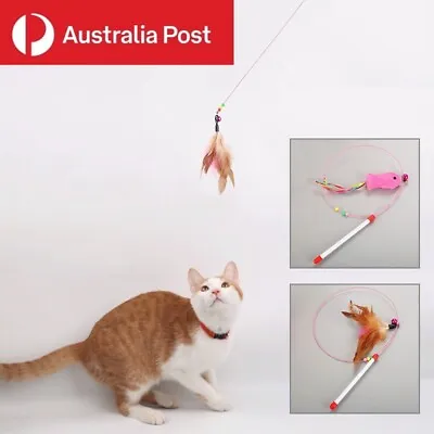 $9.99 • Buy Cat Toy Feather Teaser Wand Interactive Stick Kitten Pet Fun Wire Beads 100CM