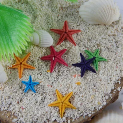 20 Mix Tiny Starfish Natural Shells Nautical Decor For Art Craft Seashells 1-2cm • £3.19