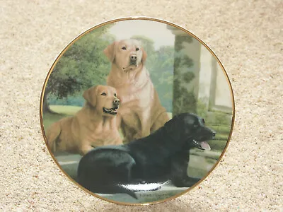 £15 • Buy Canine Companions-Franklin Mint Fine Porcelain Decorative Plate By Nigel Hemming