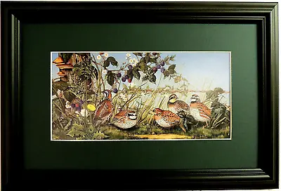 Quail Picture Bird Wildlife Hunting  Five Quail  West Matted Framed 16x10 • $59.95
