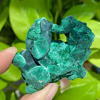 68G Natural Green Malachite Crystal Gemstone Rough Mineral Specimen • $2.25