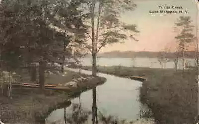 Lake Mahopac New York NY Turtle Creek Albertype Vintage Postcard • $8.29
