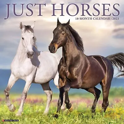 $15.95 • Buy Just Horses - 2023 Wall Calendar - Brand New - 26373