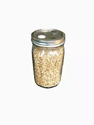 Sterilized Quart Jar Of Rye Grains (Berries) With Self Healing Injection Port • $17.99