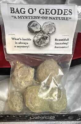 Break Your Own Geodes Bag Of Four Mexican Green Skin Geodes • $12.99