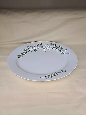 Maidenhair Fern Green By Martha Stewart Large Oval Serving Platter  • $42