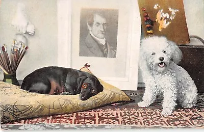 Adorable Dachshund & Miniature Poodle By Pictures-Old Postcard-Series 816. 1 • $15.99