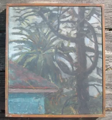 Vintage Oil Painting Monkey Puzzle And Palm Tree Colin Brant Listed 14 By 16 In • $350