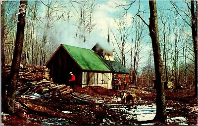 Maple Sugaring In Vermont Postcard • $2.99