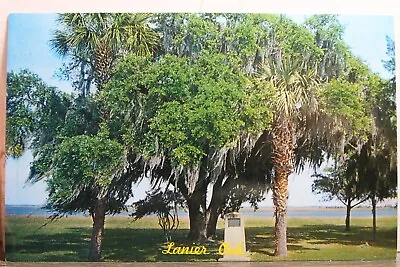 Georgia GA Macon Sidney Lanier Tree Postcard Old Vintage Card View Standard Post • $0.50