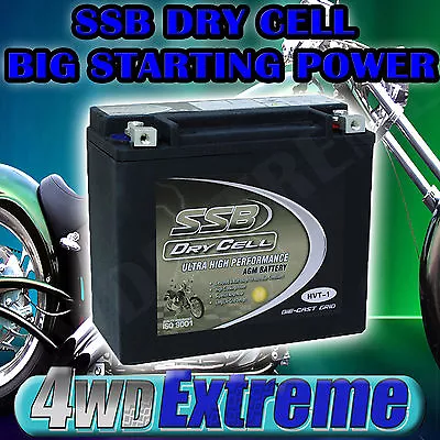 $135 • Buy 12v 450cca Harley Davidson Agm Dry Cell Battery Hvt1 Ytx20hl-bs Gyx20hl