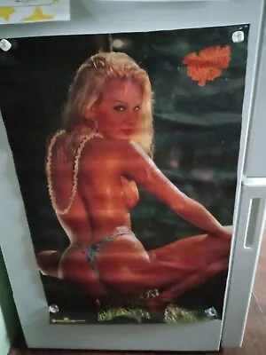 Vintage 1990's The Girls Of Hawaiian Tropic Original  Hot Girl Poster #2898 • $35