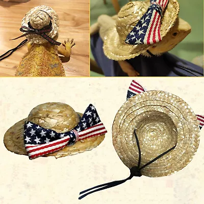 $5.99 • Buy Bearded Dragon Costumes Clothes For Lizards Hat Reptile Hat Accessories Toys