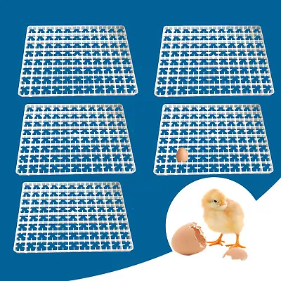 5pcs 440 Quail Egg Automatic Hatcher Tray Automatic Breeding Tray Tool Incubator • $29.46