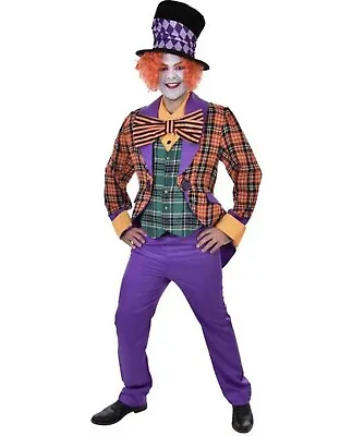 Alice In Wonderland Tea Party Mad Hatter Book Week Halloween Mens Costume • £37.19