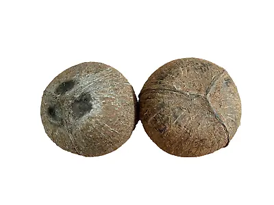 Natural Coconut Shell Halves-Eco Bowls For PetsBirdsDIYHome Decor - UK Seller • £3.39