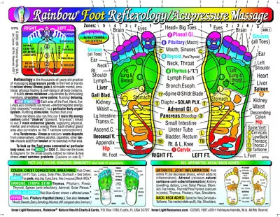 Rainbow® FOOT Reflexology/Acupressure Massage CHART/Sm Poster/Lg Card-InnerLight • $8.85